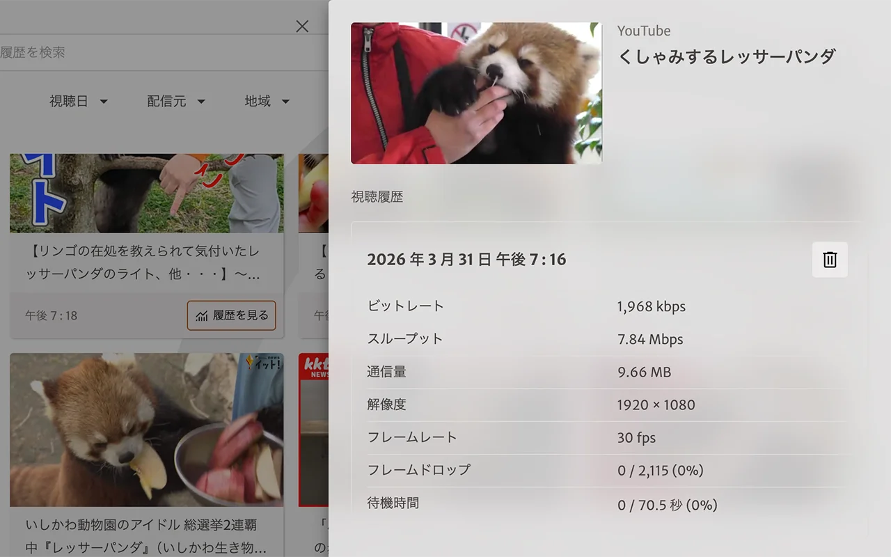 履歴詳細表示のスクリーンショット